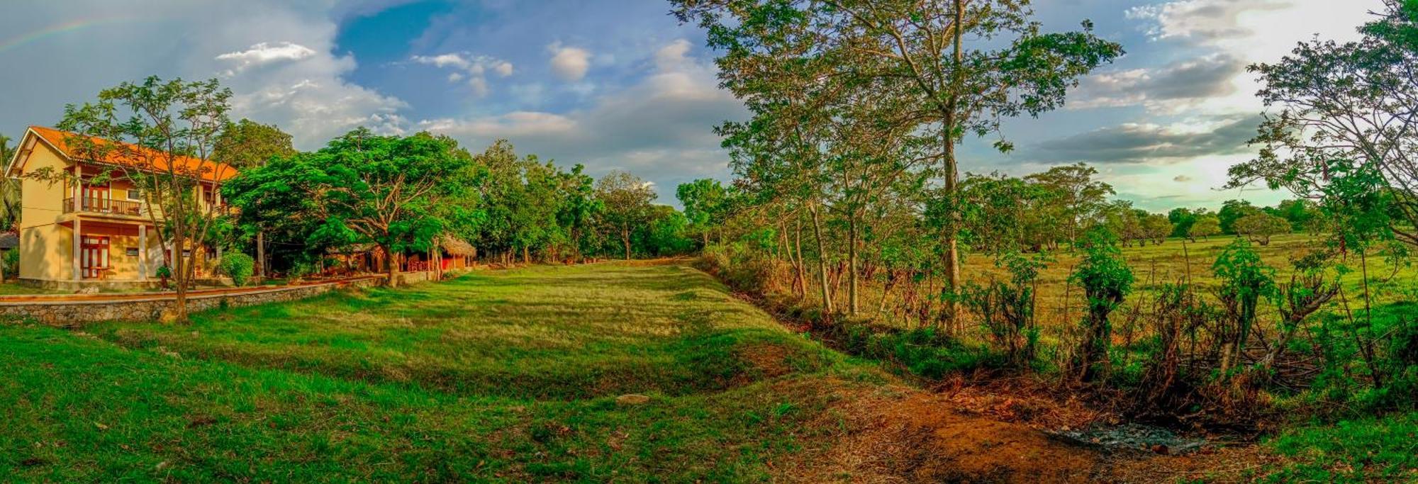 Sigiri Lanka Resort Sigiriya Luaran gambar